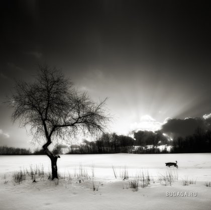 Черно-белые фотографии от Denis Grzetic