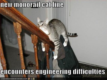 Monorail cat