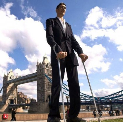 Новый самый высокий человек в мире