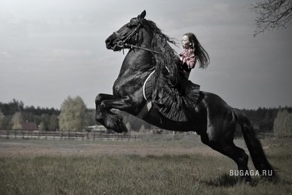 Душа лошади. Фотограф Gosia Makosa