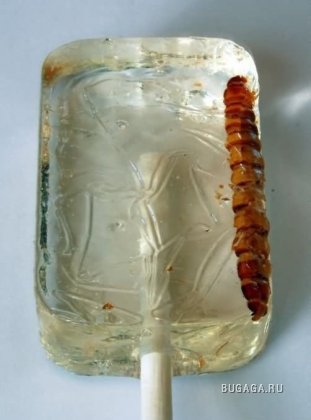 Леденец со вкусом текилы и червя