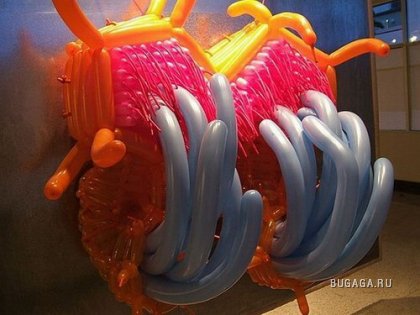 Креатив из воздушных шариков