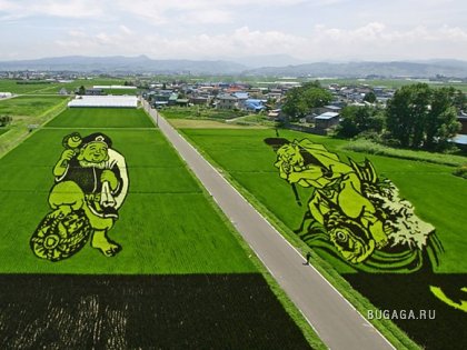 Картины рисом на полях