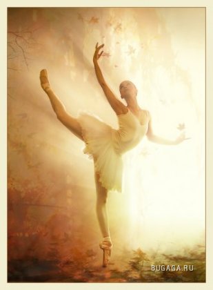 Балерины: красивы и изящны.
