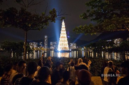В Бразилии зажглась самая высокая «плавучая» елка