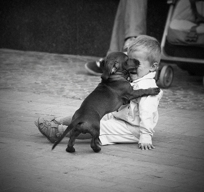 Мальчик подошел к собаке. Собака для детей. Трогательная собака. Для детей. Животные. Смешные дети и животные.