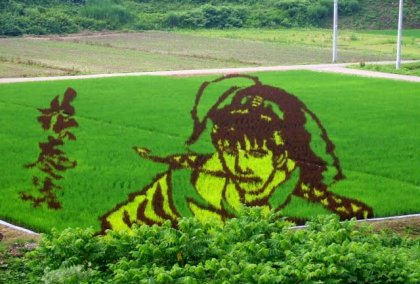 Фестиваль рисовых полей в Японии