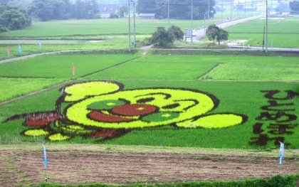 Фестиваль рисовых полей в Японии