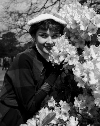 Прекрасная Audrey Hepburn