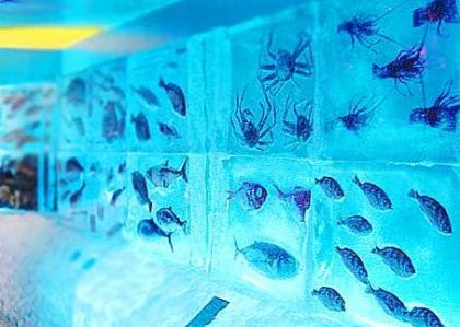 Ледяной аквариум