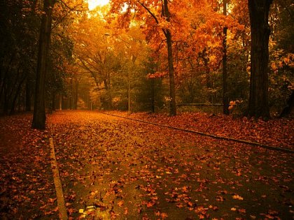 Осенняя подборка