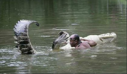 Как подружиться с крокодилом