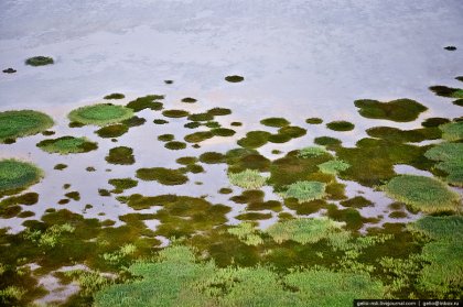 Озеро Чаны в Западной Сибири