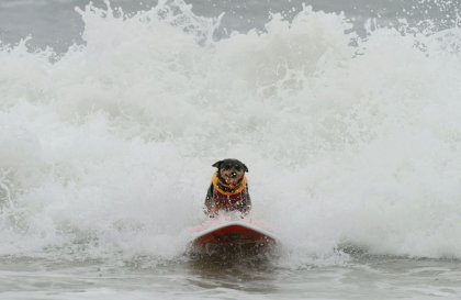 Серфингисты - повелители волн