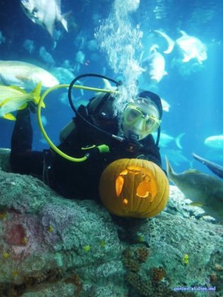 Хеллоуин: вырезаем тыкву под водой