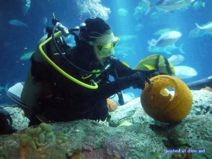 Хеллоуин: вырезаем тыкву под водой