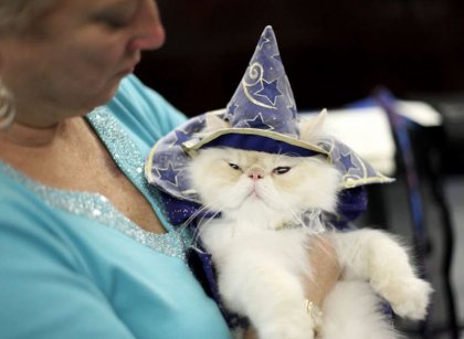 Сказочные наряды для кошек