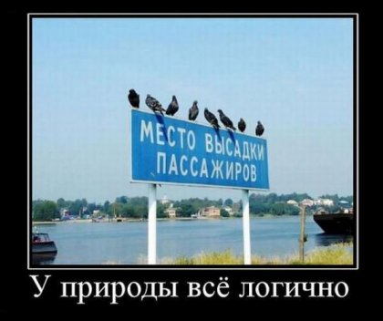 Фото-приколы + демотиваторы Фото-приколы + демотиваторы
