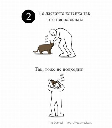 Как правильно ласкать котенка