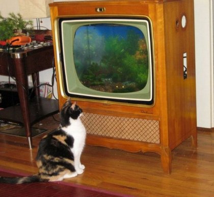 Аквариум из старого телевизора