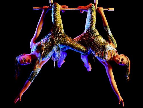 Шоу Quidam от Cirque du Soleil