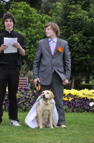 Парень женился на собаке