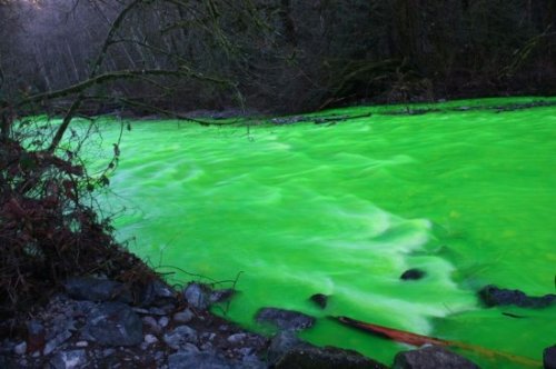 Зеленая река