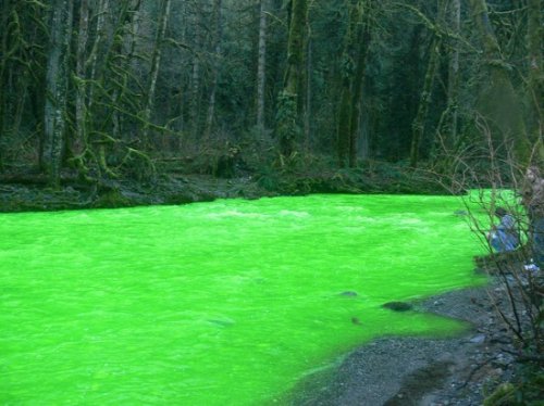 Зеленая река