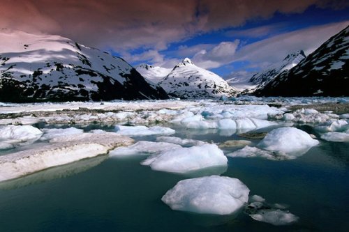 Аляска янг фото
