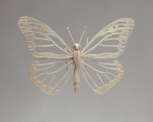 Уникальная коллекция моделей насекомых от Кайла Бина