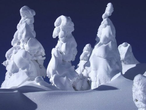 Фигуры из снега