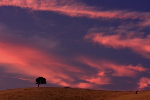 Пейзажи Калифорнии от Marc Сrumpler