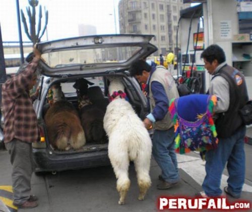 Прикольные фейлы из Перу