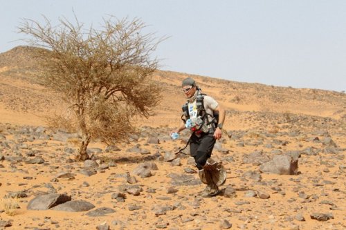 Песчаный марафон по Сахаре