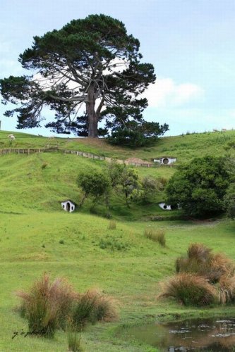 Хоббитон - новая достопримечательность Новой Зеландии