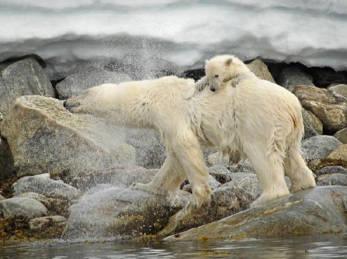 Фотографии от National Geographic за апрель 2011