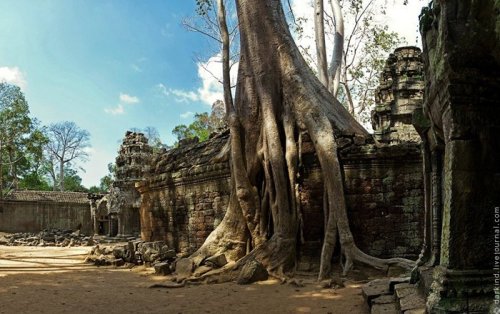 Камбоджийский храм Та Пром