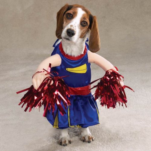 Забавные костюмы для собак