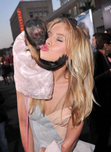 Взрослый поцелуй обезьянки с актрисой Kristen Bell