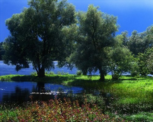 Красочные пейзажи от Andris Eglitis