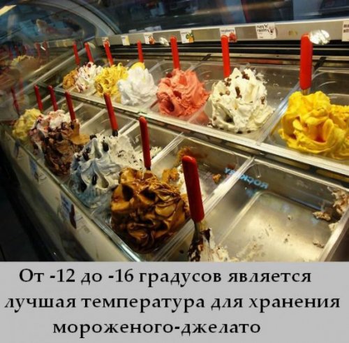Интересные факты о мороженом