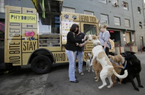 Первый фургон с мороженым для собак