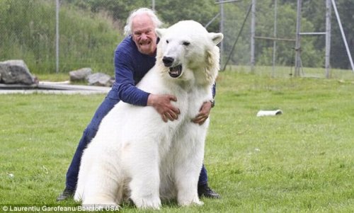 Дружба с белой медведицей