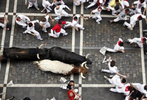 Фестиваль езды на быках