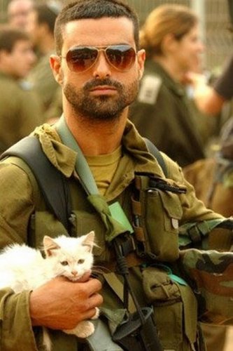 Солдаты и кошки