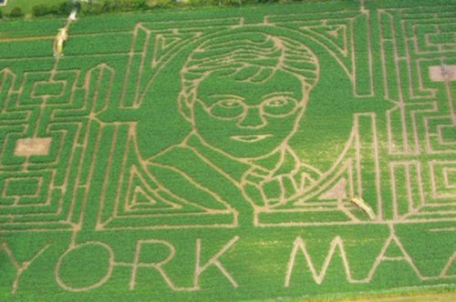 Гарри Поттер на кукурузном поле