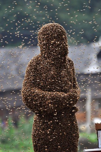 Костюм из 26 кило пчел
