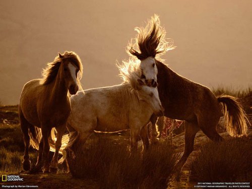 Лучшие июльские фотографии от National Geographic