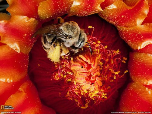 Лучшие июльские фотографии от National Geographic