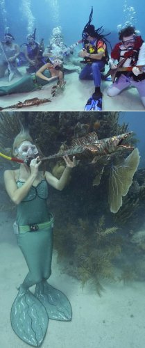Необычные подводные мероприятия